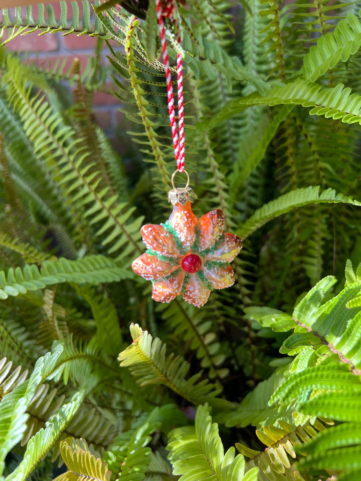 Star Bread Ornament